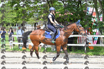 BEA_8253.JPG