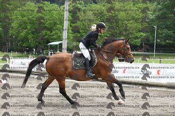 BEA_7467.JPG
