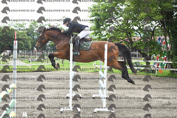 BEA_7710.JPG