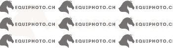 placeholder.png