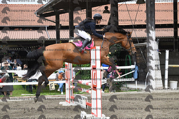 BEA_7553.JPG