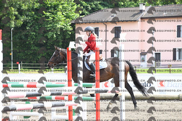 BEA_7905.JPG