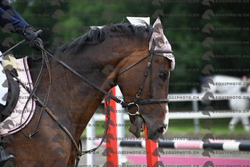 BEA_6726.JPG