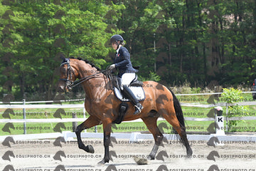 BEA_3429.JPG