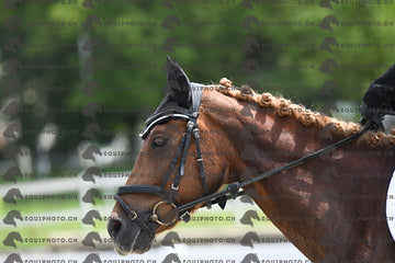 BEA_7746.JPG