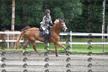 BEA_6581.JPG