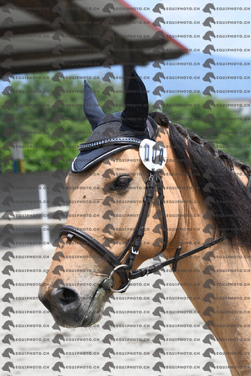 BEA_9583.JPG