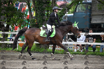 BEA_7850.JPG