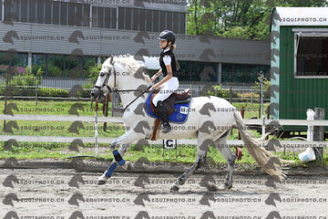 BEA_9536.JPG
