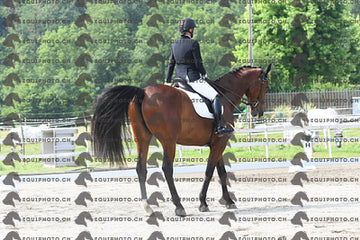 BEA_1730.JPG