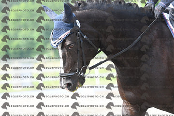 BEA_1270.JPG