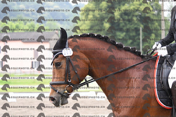 BEA_0923.JPG