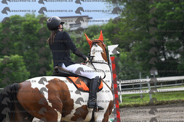 BEA_6231.JPG