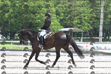 BEA_3213.JPG