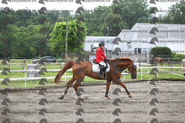 BEA_6708.JPG