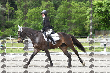 BEA_6070.JPG