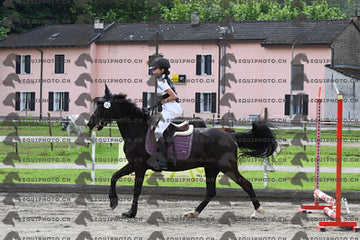 BEA_8417.JPG