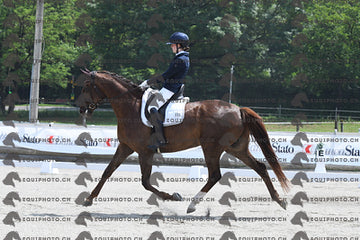 BEA_3304.JPG