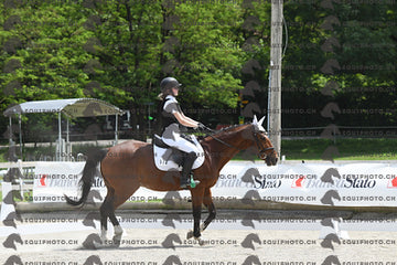 BEA_7905.JPG