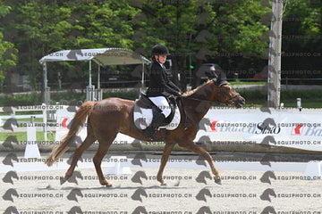 BEA_7750.JPG
