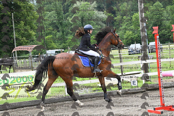 BEA_7274.JPG