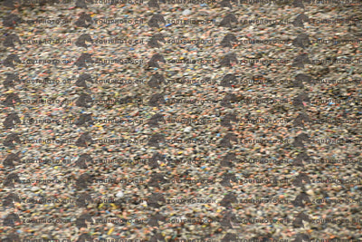 BEA_6569.JPG