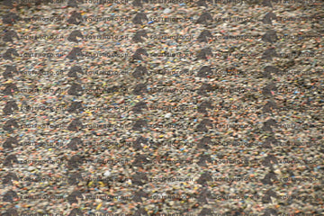 BEA_6569.JPG