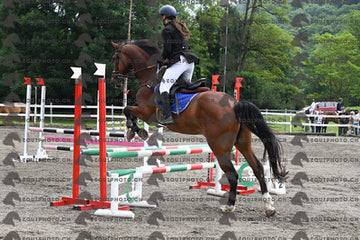 BEA_7040.JPG