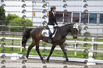 BEA_6018.JPG