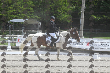 BEA_8208.JPG