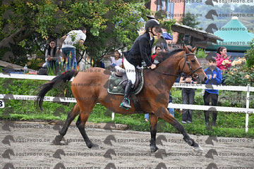 BEA_7713.JPG