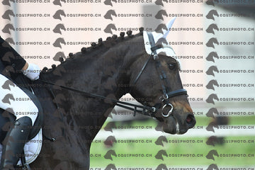 BEA_0616.JPG