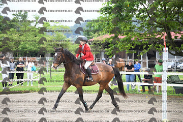 BEA_6064.JPG