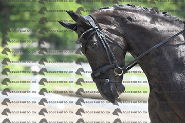 BEA_3144.JPG