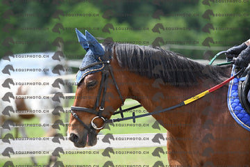 BEA_8384.JPG