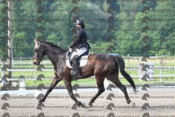 BEA_0374.JPG