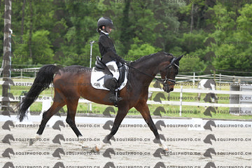 BEA_6209.JPG