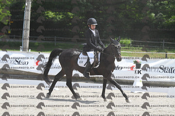 BEA_8247.JPG
