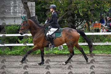 BEA_7875.JPG