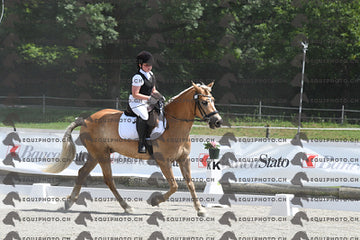 BEA_8982.JPG
