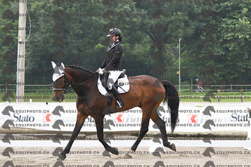 BEA_0803.JPG