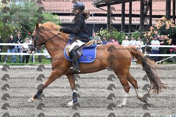 BEA_7144.JPG