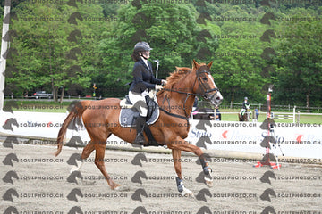 BEA_7720.JPG