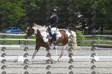 BEA_8231.JPG