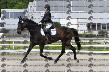 BEA_5973.JPG