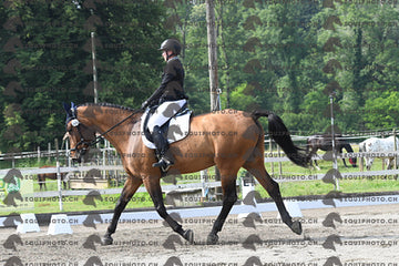 BEA_1504.JPG