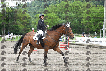 BEA_6330.JPG