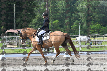 BEA_1400.JPG