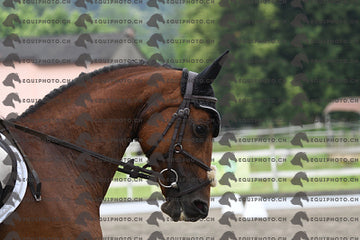 BEA_0845.JPG