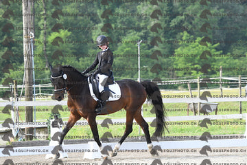 BEA_1147.JPG